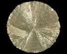 Pyrite Sun - Sparta, Illinois #69916-1